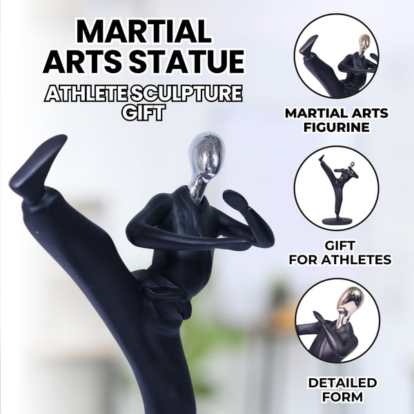 Martial Arts Statue, Athlete Sculpture Gift for Teens, Athletes, Bookshelf Decor 7 inch 25 cm by Sona Casa