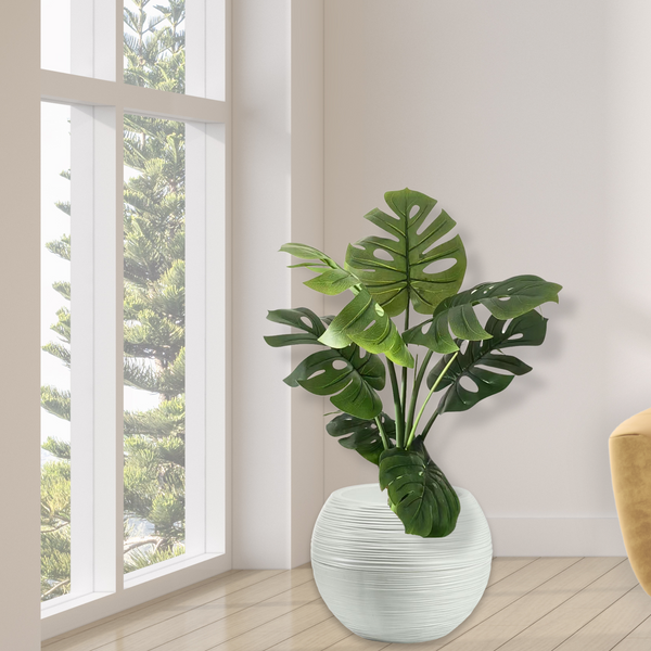 Round White Plant Pot, Indoor Outdoor Home, Office, Patio, Front Porch, Backyard Decor, 13" Succulent Planter by Sona Casa