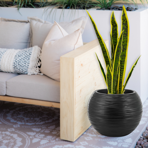 Round Black Plant Pot, Indoor Outdoor Home, Office, Patio, Front Porch, Backyard Decor, 18" Succulent Planter by Sona Casa