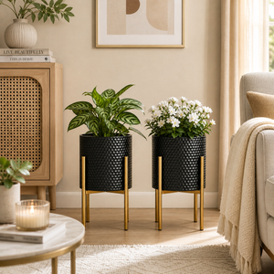 Set of 2 Small Black Metal Planters with Gold Legs - Modern Minimalist Indoor Plant Pots for Home Decor by Sona Casa