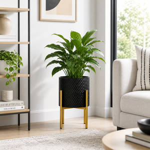 Black and Gold Metal Planter Stand for Indoor Home Decor, Modern Minimalist Flower Pot Holder