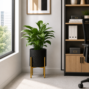 Large Black Gold Metal Flower Pot Stand with Modern Finish, 36x36x58 cm & 30x30x48 cm for Indoor Plant Display