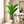 2.1 Meter Split Traveler Artificial Birds of Paradise Plant with 17 Lush Green Leaves