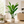2.1 Meter Split Traveler Artificial Birds of Paradise Plant with 17 Lush Green Leaves