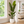 2.2 Meter Birds of Paradise Artificial Plant with Lush Green Leaves for Elegant Indoor Home Decor