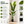 2.2 Meter Birds of Paradise Artificial Plant with Lush Green Leaves for Elegant Indoor Home Decor
