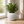 Minimalist White Small Round Planter Pot for Indoor Home Decor
