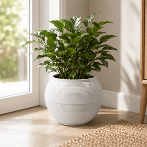 Minimalist White Small Round Planter Pot for Indoor Home Decor
