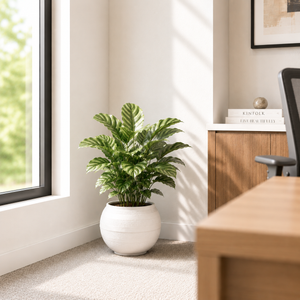 Minimalist White Small Round Planter Pot for Indoor Home Decor