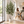 Artificial Olive tree 170 cm high with white pot