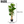 150 cm Artificial Fiddle Leaf Fig Tree Indoor Lifelike Faux Plant with Green Leaves in Black Pot for Home & Office Decor - Accent Collection