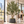 Large Nearly Natural 200 cm Artificial Olive Tree with Black Olives, Realistic Faux Plant for Indoor Outdoor Home and Patio Decor - Accent Collection