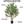 Large Nearly Natural 200 cm Artificial Olive Tree with Black Olives, Realistic Faux Plant for Indoor Outdoor Home and Patio Decor - Accent Collection