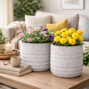 3 Pc Set of White Planter Pots by Sona Casa