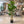 Artificial Fig Tree 150 cm Tall Indoor Home Decor, Realistic Lifelike Faux Plant for Living Room or Office by Sona Casa