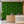 Green Boxwood Artificial Wall Panel with Lush Leaves, 40x60cm, Realistic Faux Greenery for Indoor Outdoor Home Decor by Sona