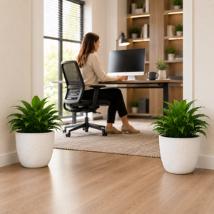 Set of 2 White Round 12-Inch Planter Pots - Modern Minimalist Indoor Outdoor Plant Containers