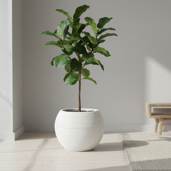 Round Self Watering Plant Pot, Indoor Home, Office, Patio, Front Porch, Decor, 18" Succulent Planter-Sona Casa