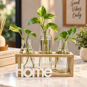 Glass bud vase set with three bottles displaying pothos cuttings in a Home holder
