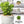 Artificial Sedum Succulent Plant in White Ceramic Planter 5