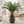 Artificial Sago Palm Plant, Indoor Home Office Decor, Realistic 83 cm Tropical Faux Cycas Plant with Stable Base-Sona Casa