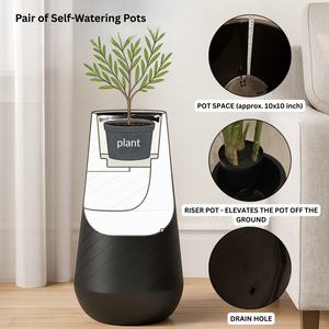 Set of 2 Contemporary Decorative Self Watering Pot, Modern Tall Indoor Planter, 33 in Home, Office, Garden Decoration, Gift-Sona Casa