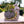 Polyresin Garden Ornament, Rustic Outdoor Planter Snail Plant Pot Garden, Patio, Large Yard Ornament 13 inch, 33 cm