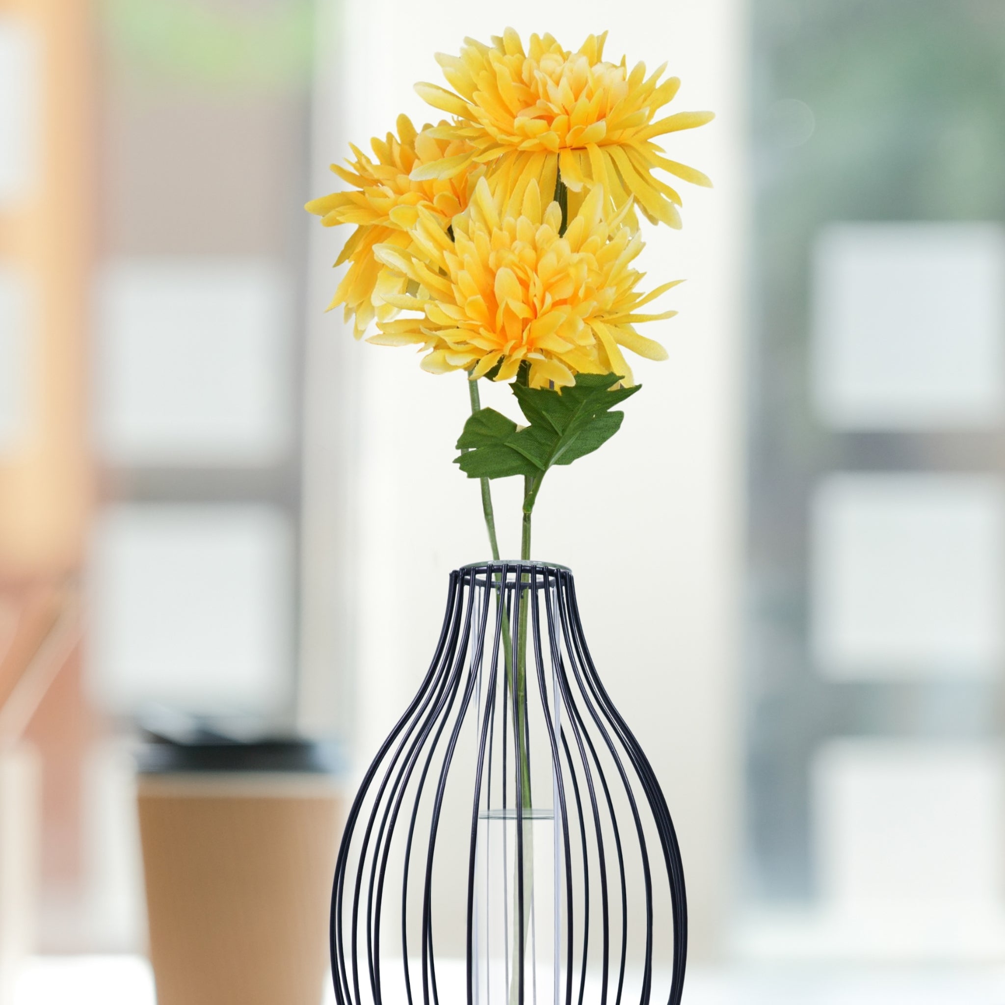Terrarium Hydroponic Plant Vases – AWAKENING AESTHETICS