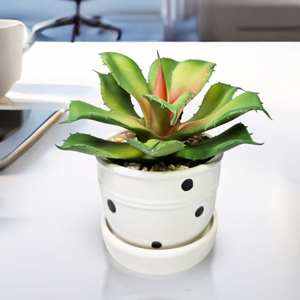 Potted Agave, 5" Artificial Succulent in White Ceramic Planter Home Decor