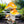 Outdoor Decor Garden Ornament, Mushroom Sculpture, Orange Yard Art, Polyresin 12 inch 30 cm