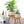 2 Piece Tall Indoor Plant Pot, Metal and Wood, Pots and Planters for Houseplants, Home or Office Decor, Large Small, White, 26 inch