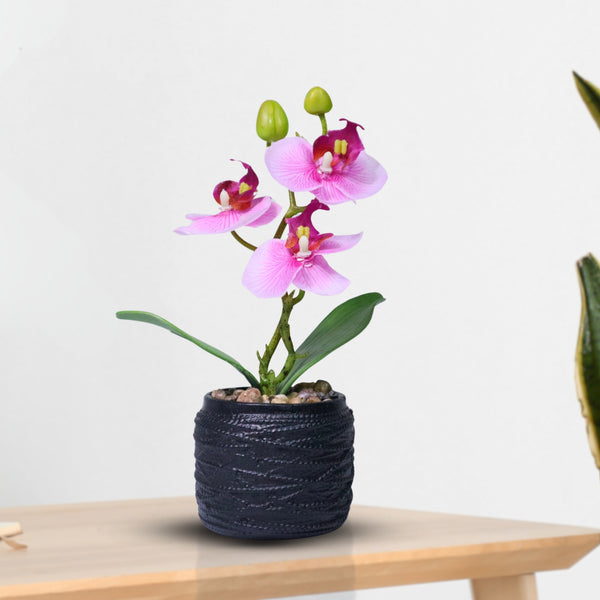 Small Pink Faux Orchid Fake Plants Indoor with Black Cement Pot, Handmade Center Table Decor 9in, 23cm by Accent Collection