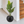 Round Black Plant Pot, Indoor Outdoor Home, Office, Patio, Front Porch, Backyard Decor, 13