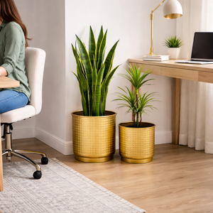 Golden Foil Pots, Pair of Decorative Planters Large and Small 25 cm, 22 cm Set of 2, Living Room, Office Decor