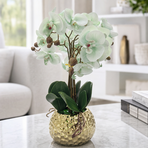 Elegant Gold Ceramic Vase with Artificial Green Orchid - Accent Collection