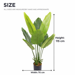 Large Artificial Bird of Paradise, 45" Fake Plant with Cement Base, Indoor Outdoor Living Room, Porch, Patio, Home Decor Gifts-Sona Casa